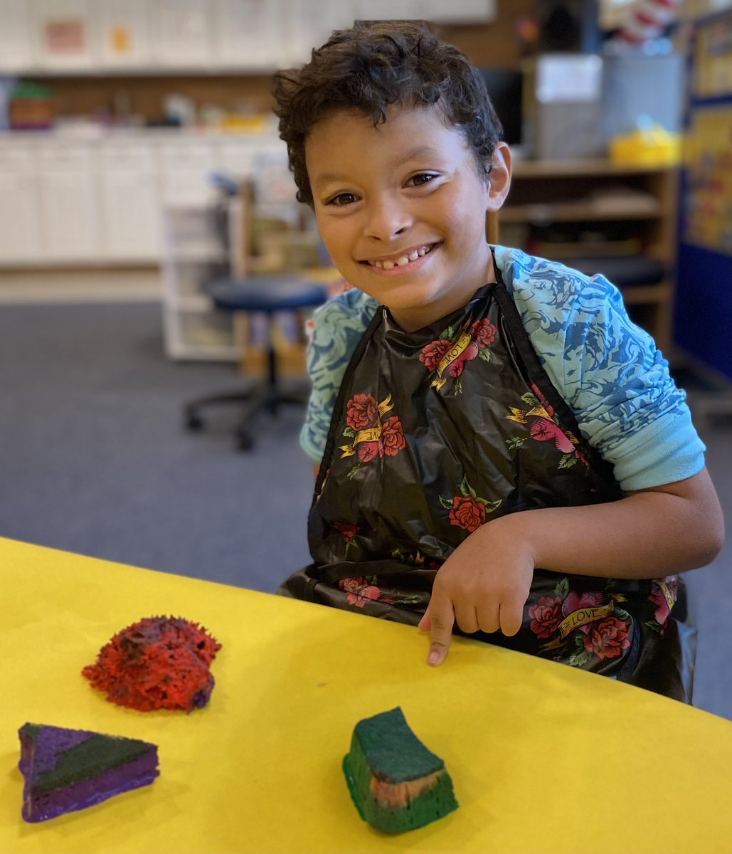 Archbishop Damiano School tweet media