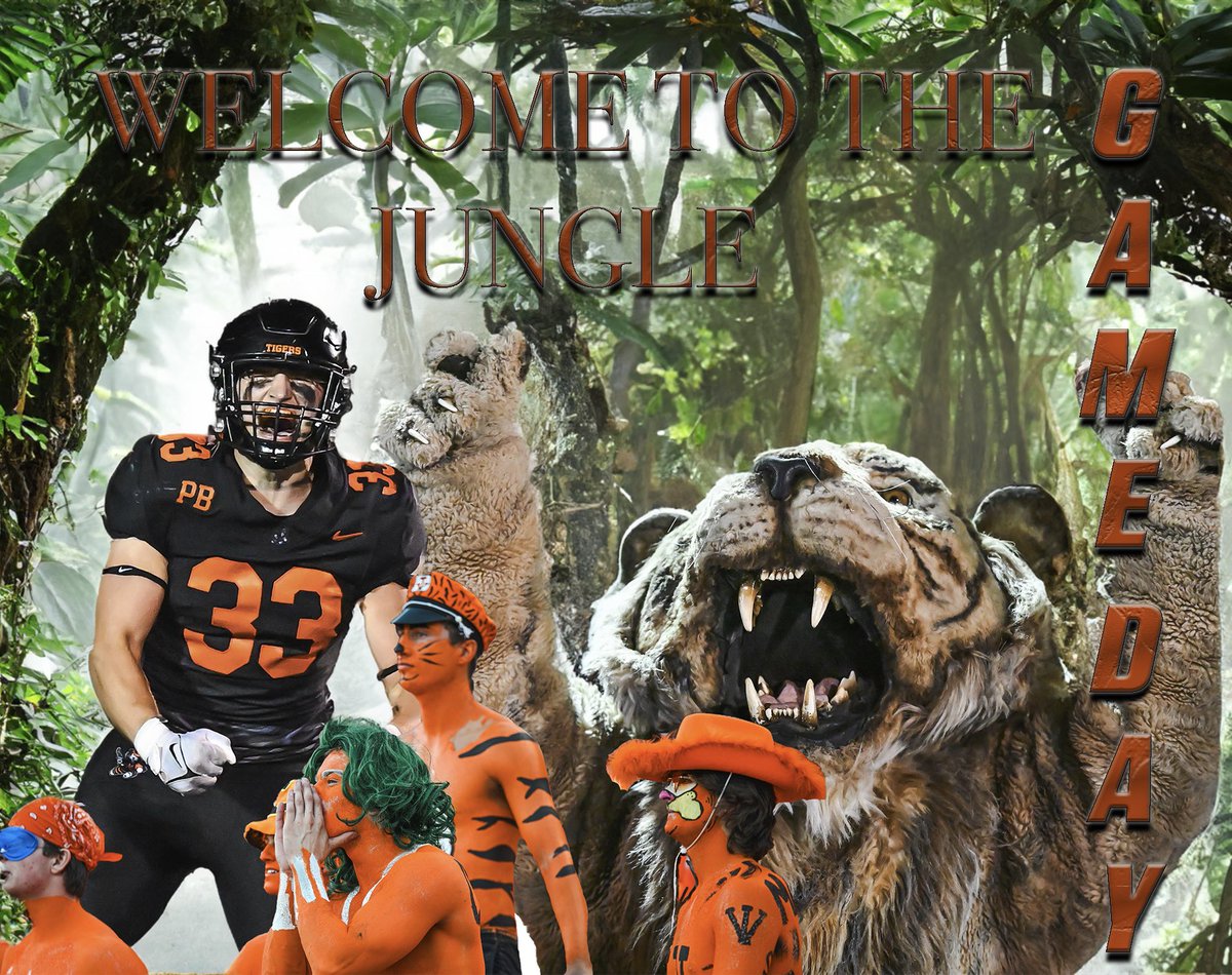 Game Day Go Tigers 🐅