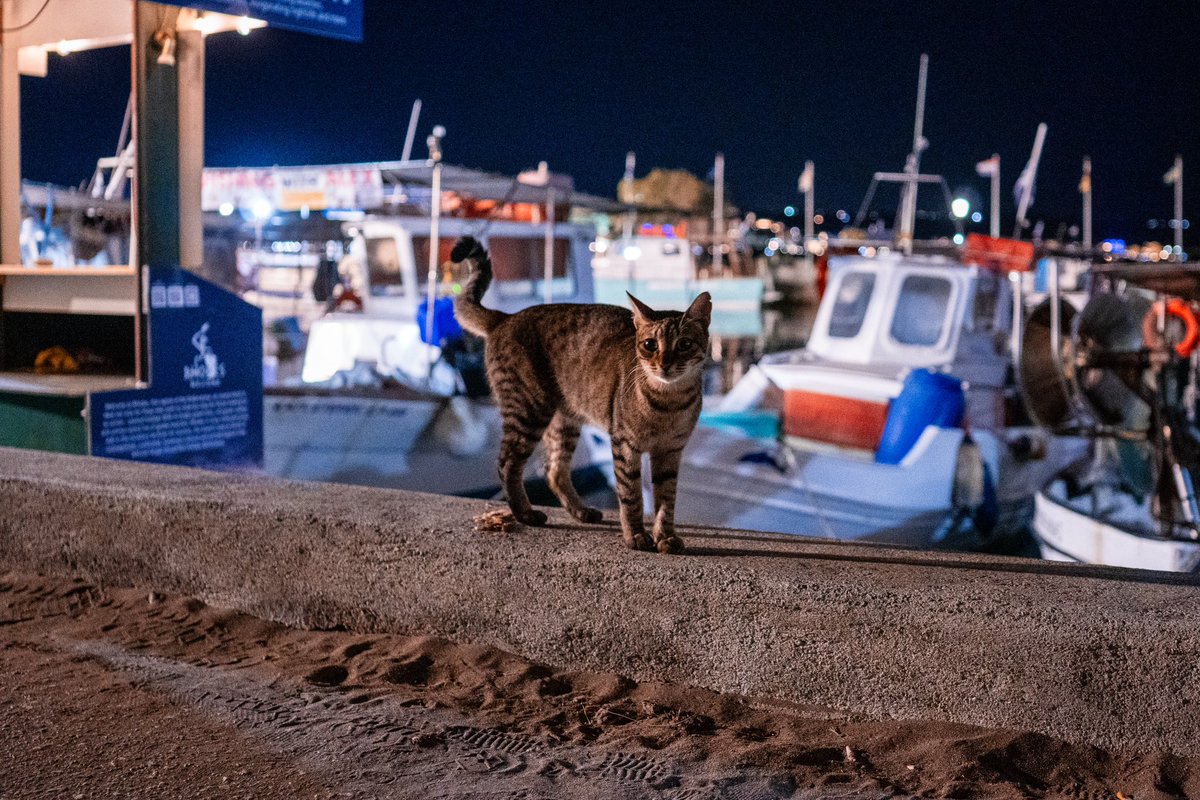 Kevin Schulz tweet media