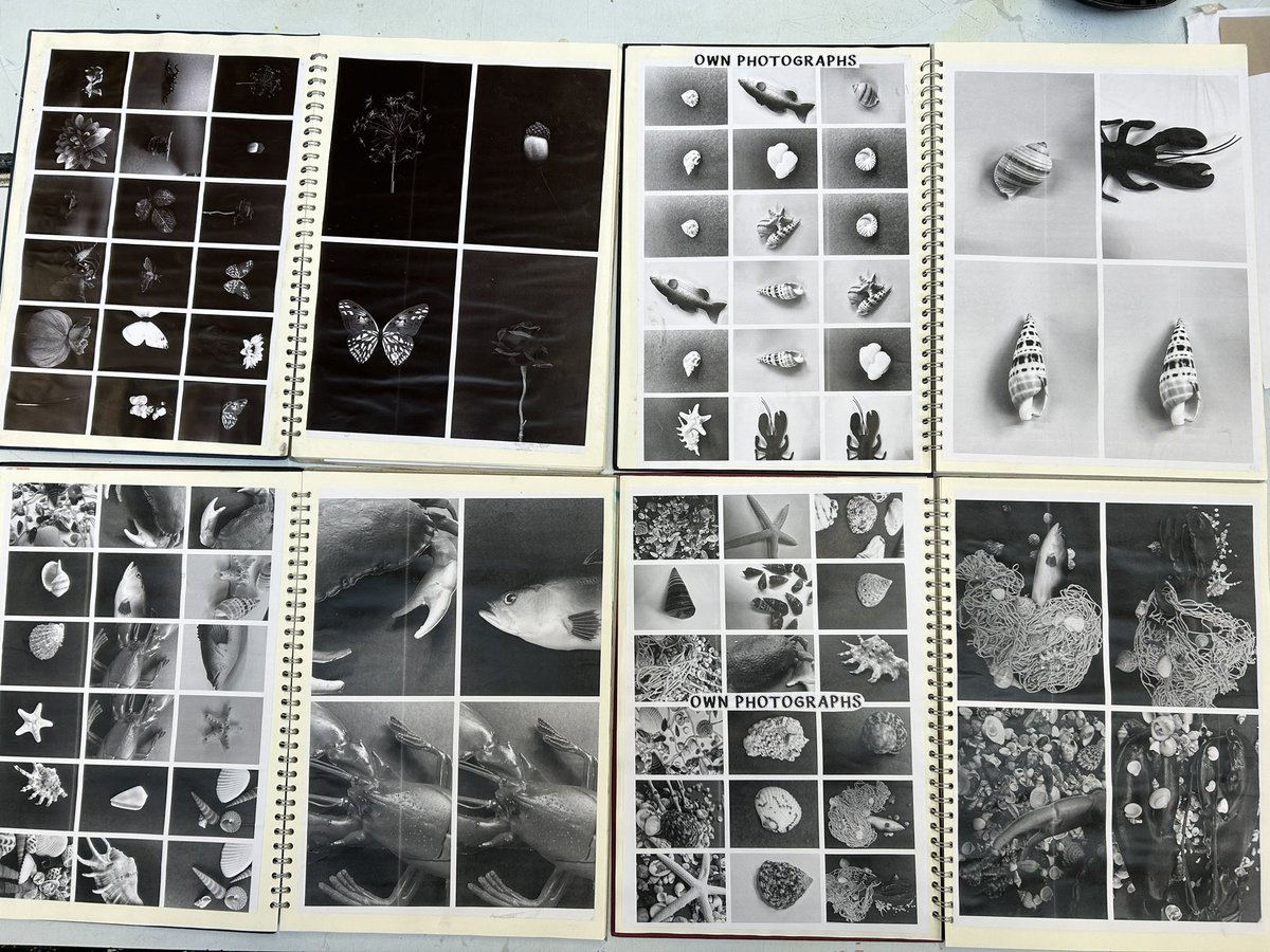 Creative & Expressive Arts @ Maghull High School tweet media