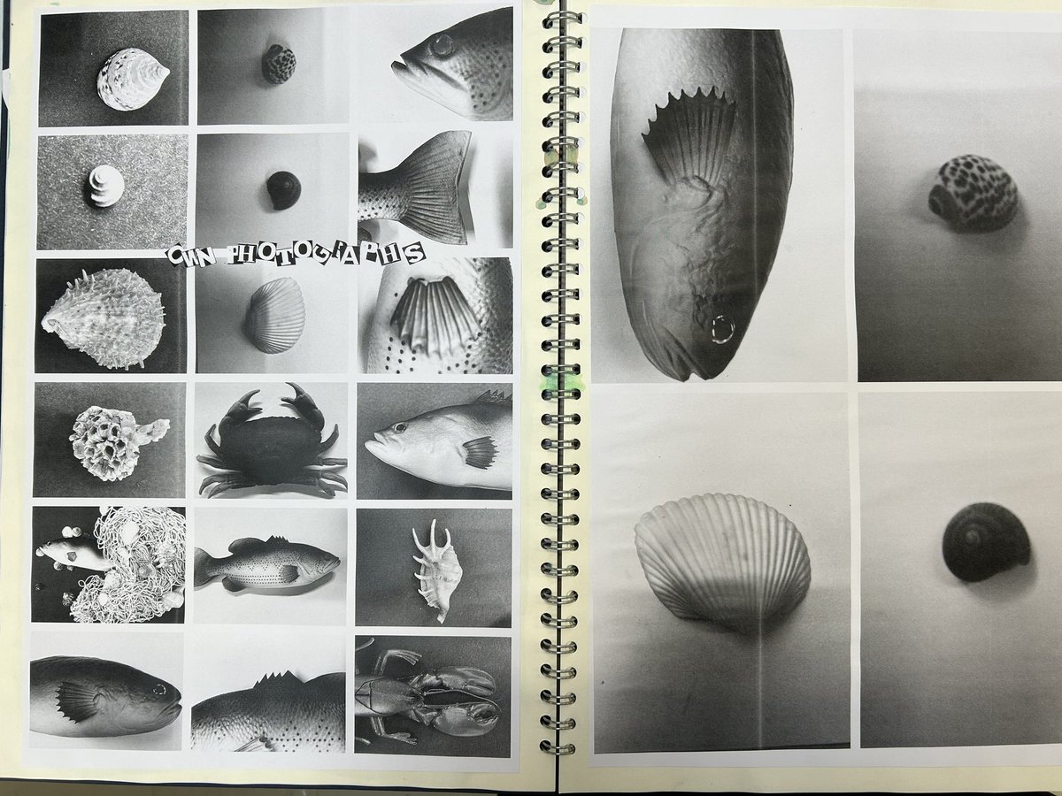 Creative & Expressive Arts @ Maghull High School tweet media