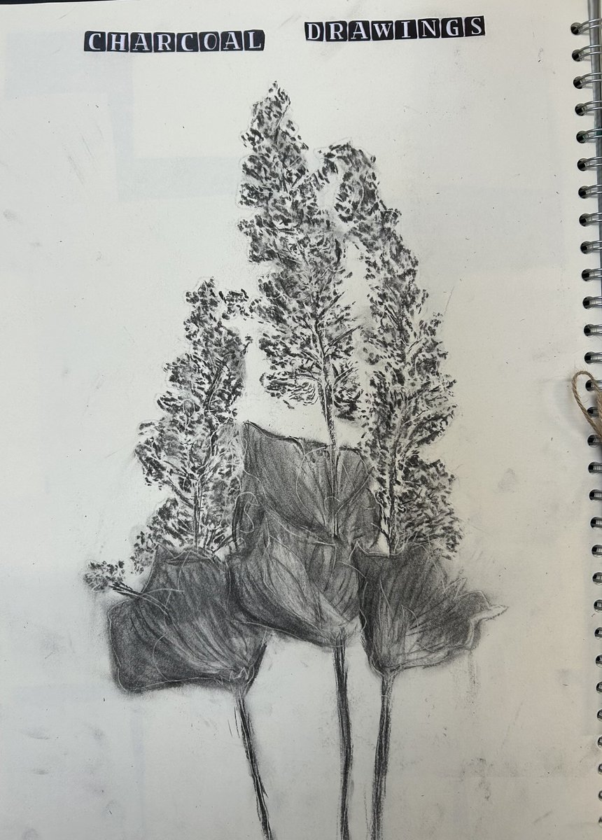 Creative & Expressive Arts @ Maghull High School tweet media