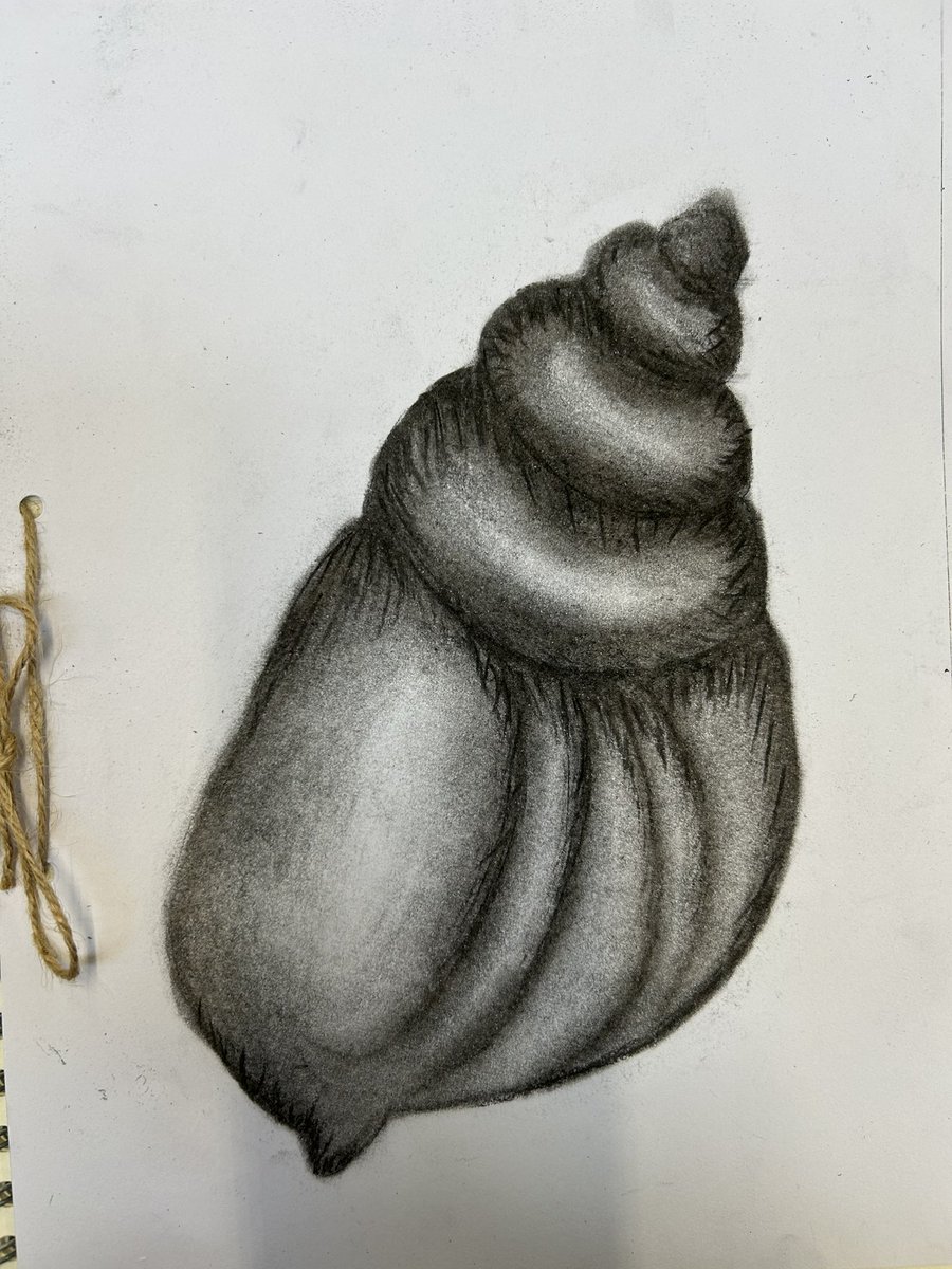 We have loved seeing our students use of charcoal this week ⭐️ What wonderful outcomes 🎨 #drawing #charcoal #art #moreartnotless