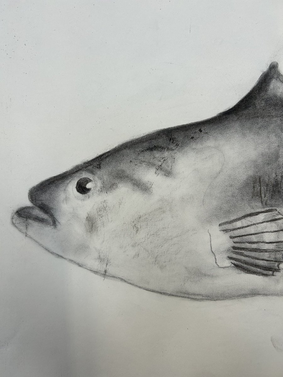 Creative & Expressive Arts @ Maghull High School tweet media