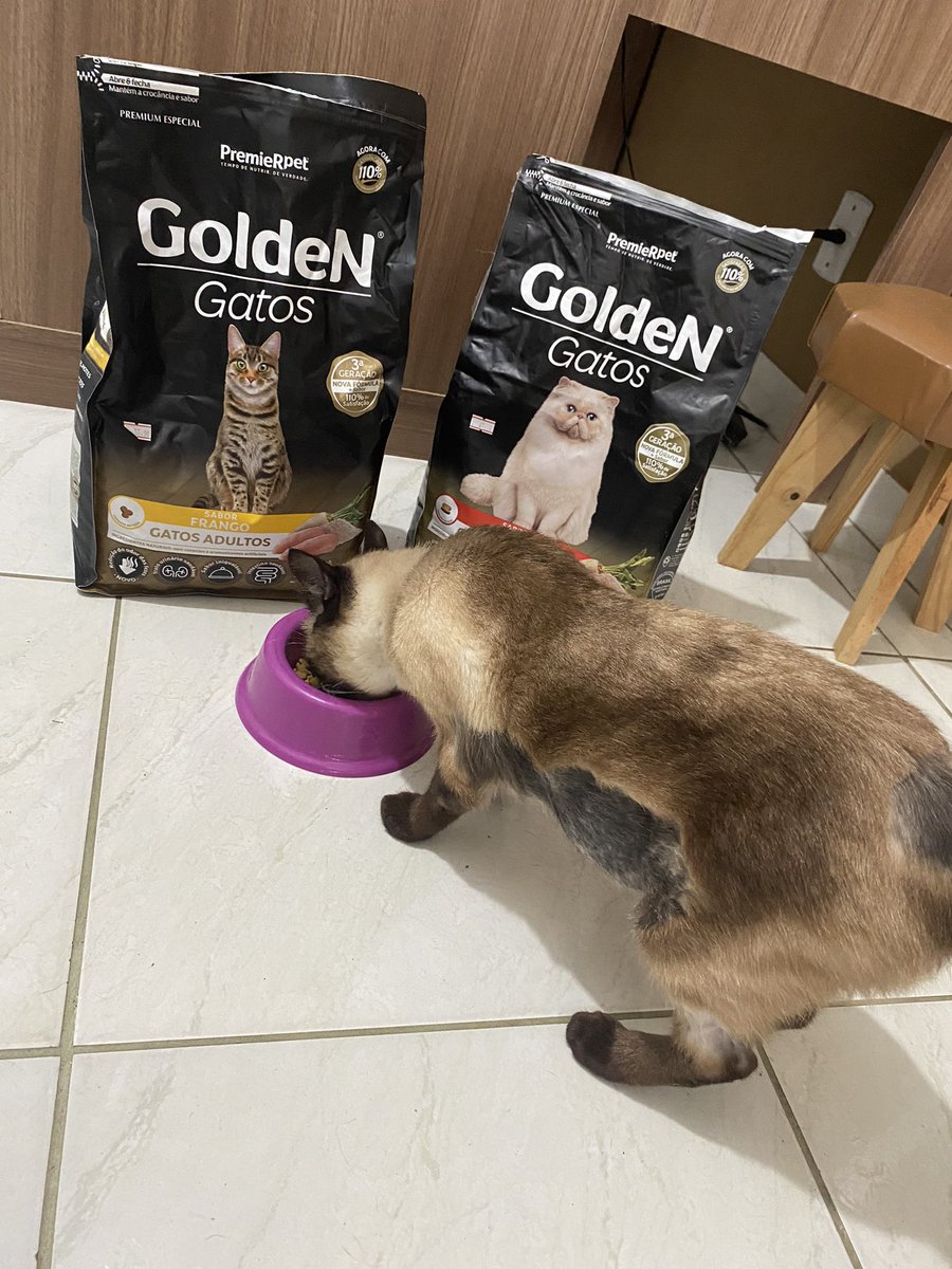 𓆏thamires 𓆏 tweet media