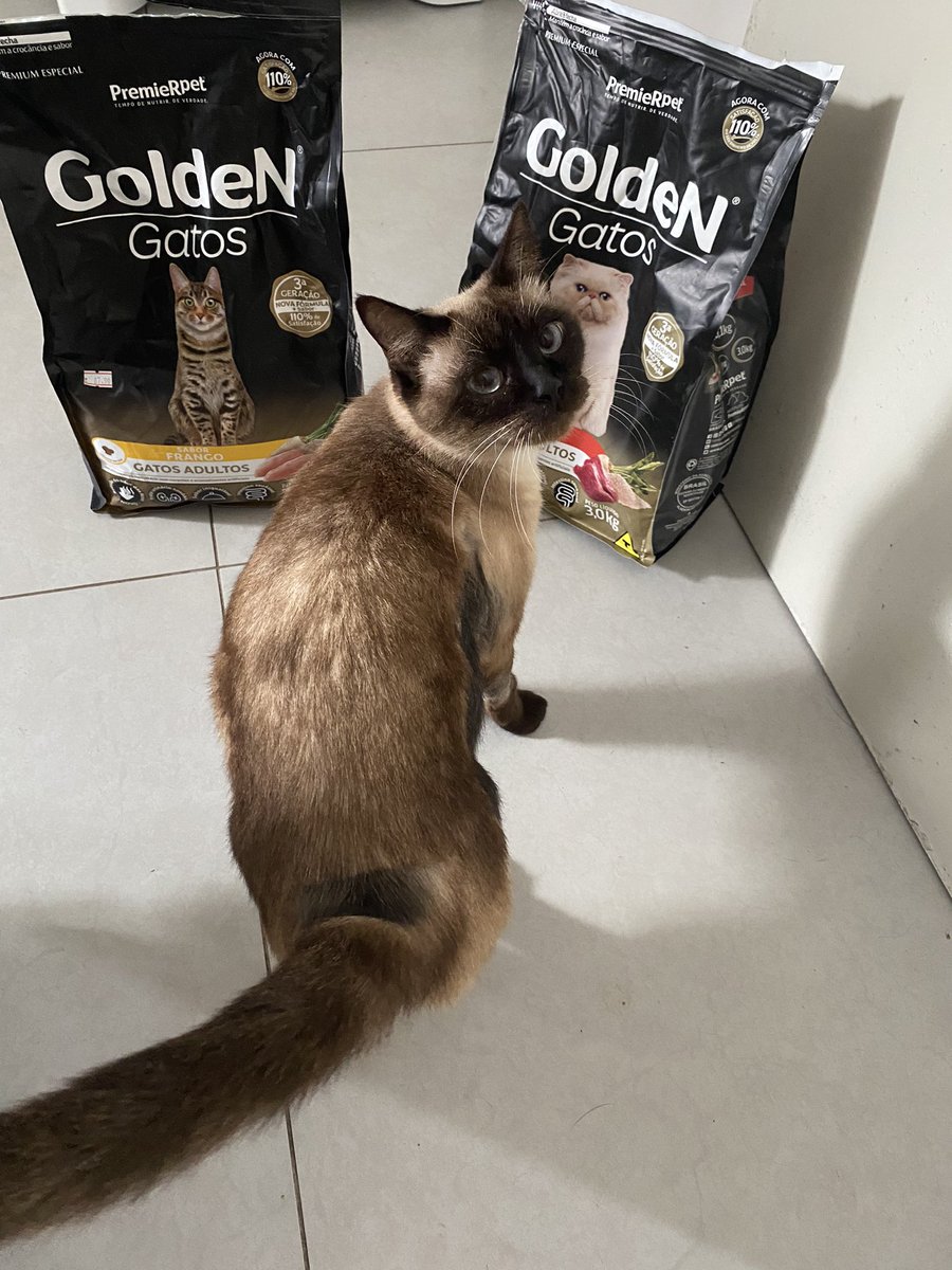 𓆏thamires 𓆏 tweet media