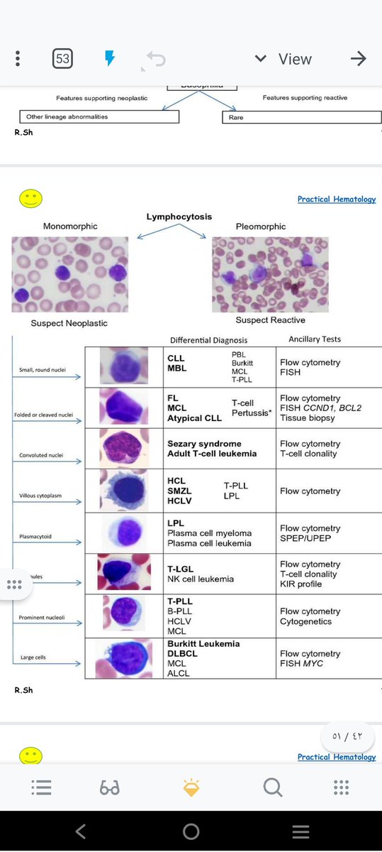 abeerghazy tweet media