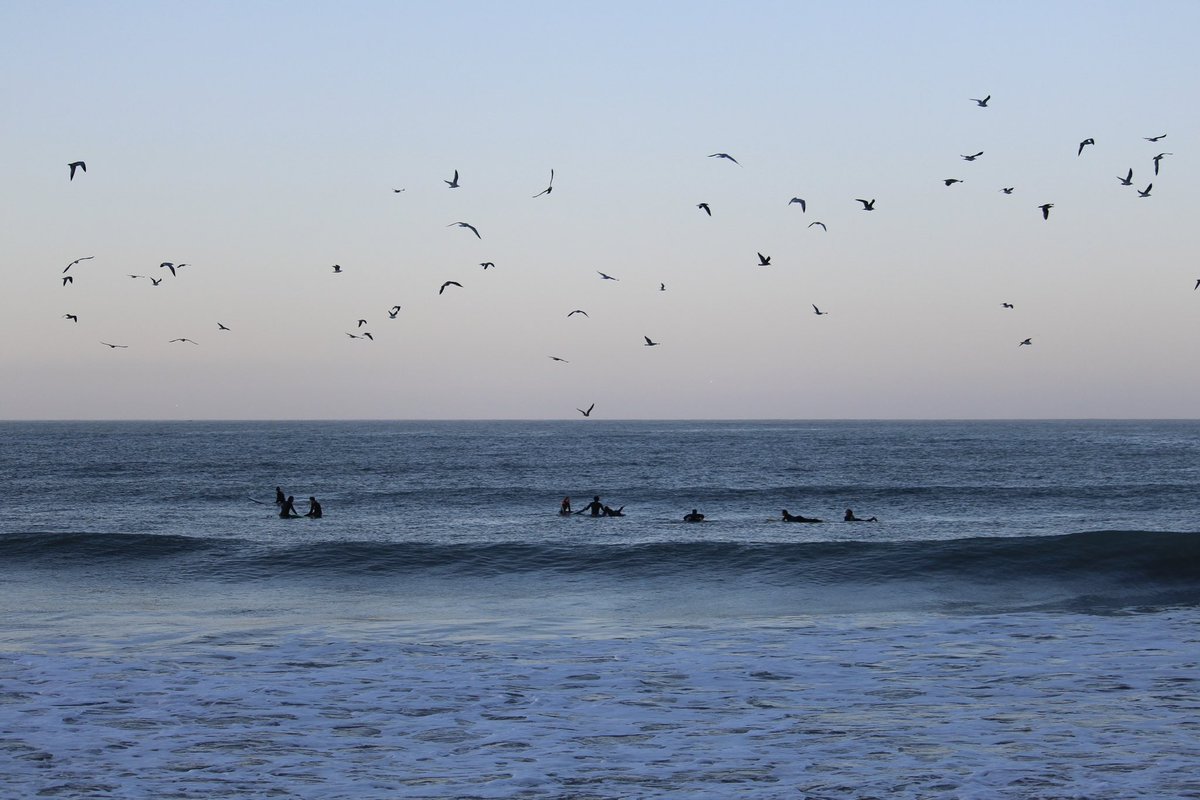Birds flying high…#youknowhowifeel #sunrise #surfsessions #morocco #flyinghigh #surf #surfers #surfsup #surfingmorocco