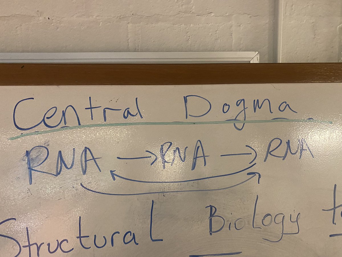 Ok who did this????

<a href="/BMBGGUPENN/">BBCB Graduate Group</a> <a href="/BB_UPenn/">UPenn Dept of Biochem & Biophys</a>