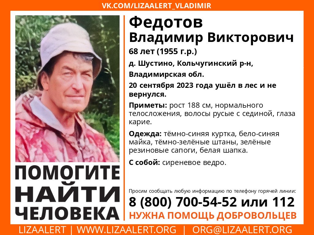 LizaAlert_Vladimir tweet media