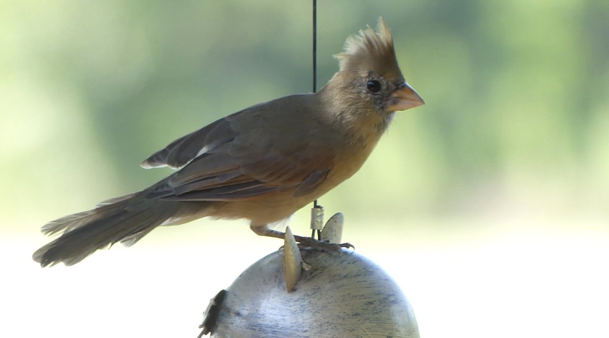 Mark Nau (@mark_nau) on Twitter photo 