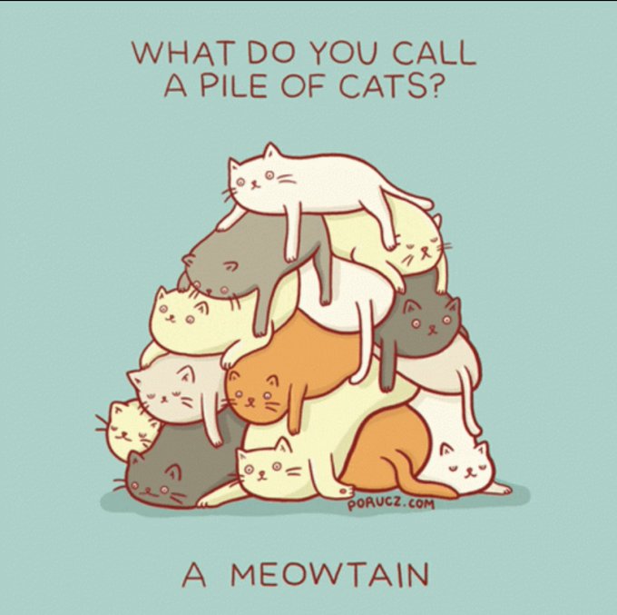 I hope you had a good week.  Heres a little kitty humor for ya this Friday. 😹 https://t.co/8LxNSD6AD<a href="/tag/friday"class="tags"><span>#friday</span></a><a href="/tag/fridaynight"class="tags"><span>#fridaynight</span></a><a href="/tag/letsplay"class="tags"><span>#letsplay</span></a><a href="/tag/weekend"class="tags"><span>#weekend</span></a>