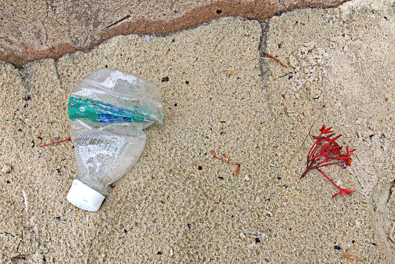 'The Bottle' #35
#plasticpollution #environment #extinctionrebellion #sustainableliving #oceanconservation #greenissues #greenhousegases #climatechamge #globalWarming #indianocean #zanzibar