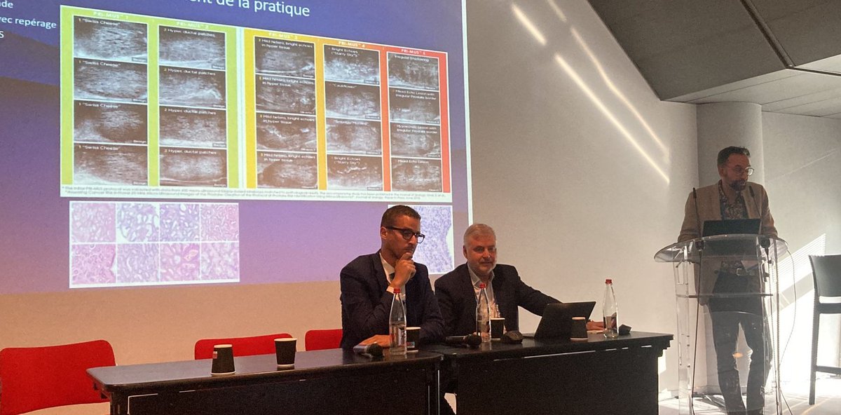 Clôture de la journée avec un symposium centré sur la thérapie focale par HIFU et les outils diagnostics qui l'entourent. Merci au Pr. Rischmann et au Dr. Perez pour leur présentation de qualité ! @ArthurPeyrottes @GaelleMargue @fayek_taha @denis_seguier @KevinKaulanjan