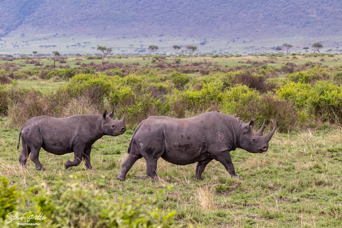 AfSafCo's tweet photo. Well our first 2023 Game Parks of Africa group has finished touring East Africa.  A great experience for all participants.  Our 2024 group safari is now on sale - https://t.co/7sHruPztb0

Here's some of this years images. https://t.co/Me2CoGTYq1