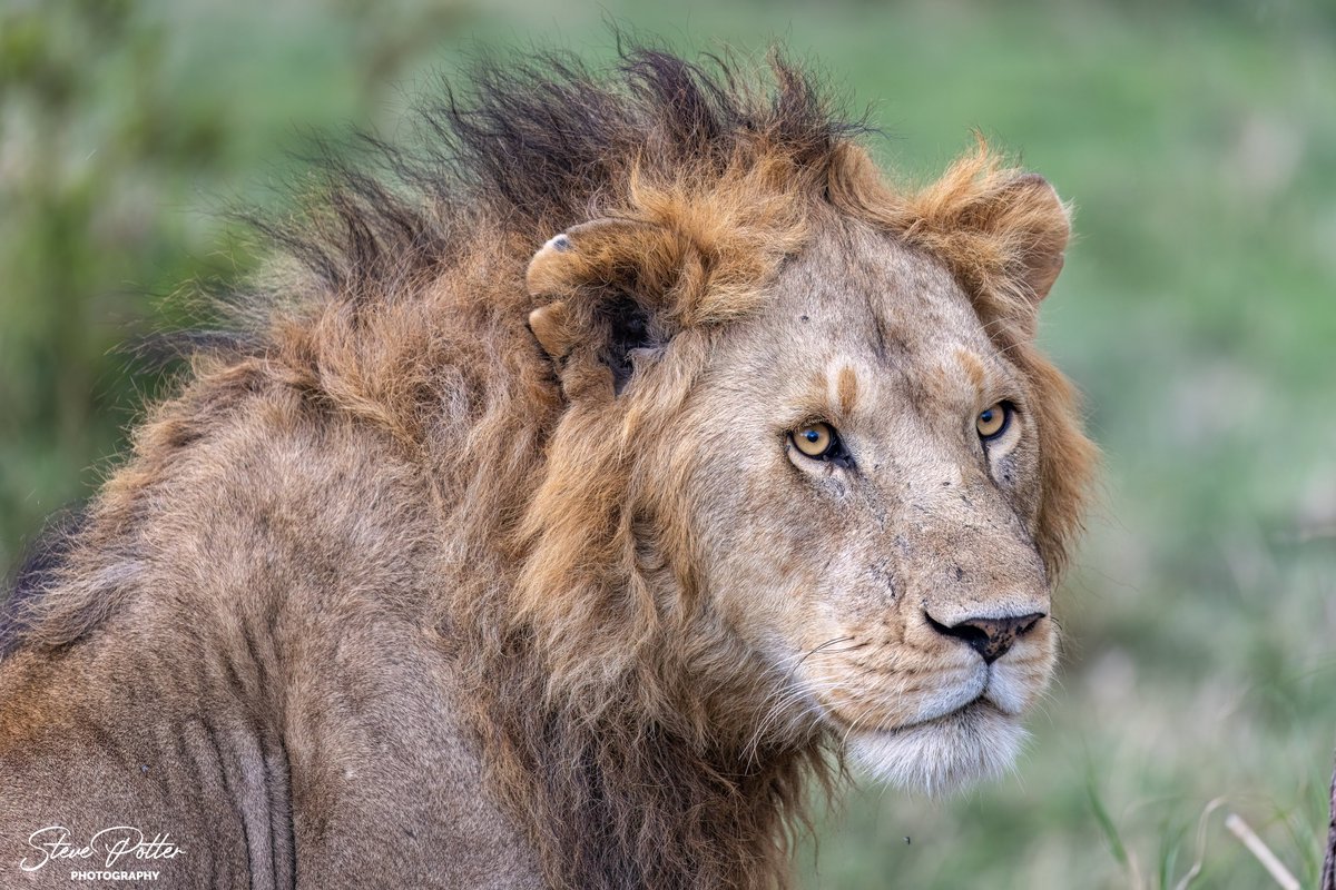 AfSafCo's tweet photo. Well our first 2023 Game Parks of Africa group has finished touring East Africa.  A great experience for all participants.  Our 2024 group safari is now on sale - https://t.co/7sHruPztb0

Here's some of this years images. https://t.co/Me2CoGTYq1