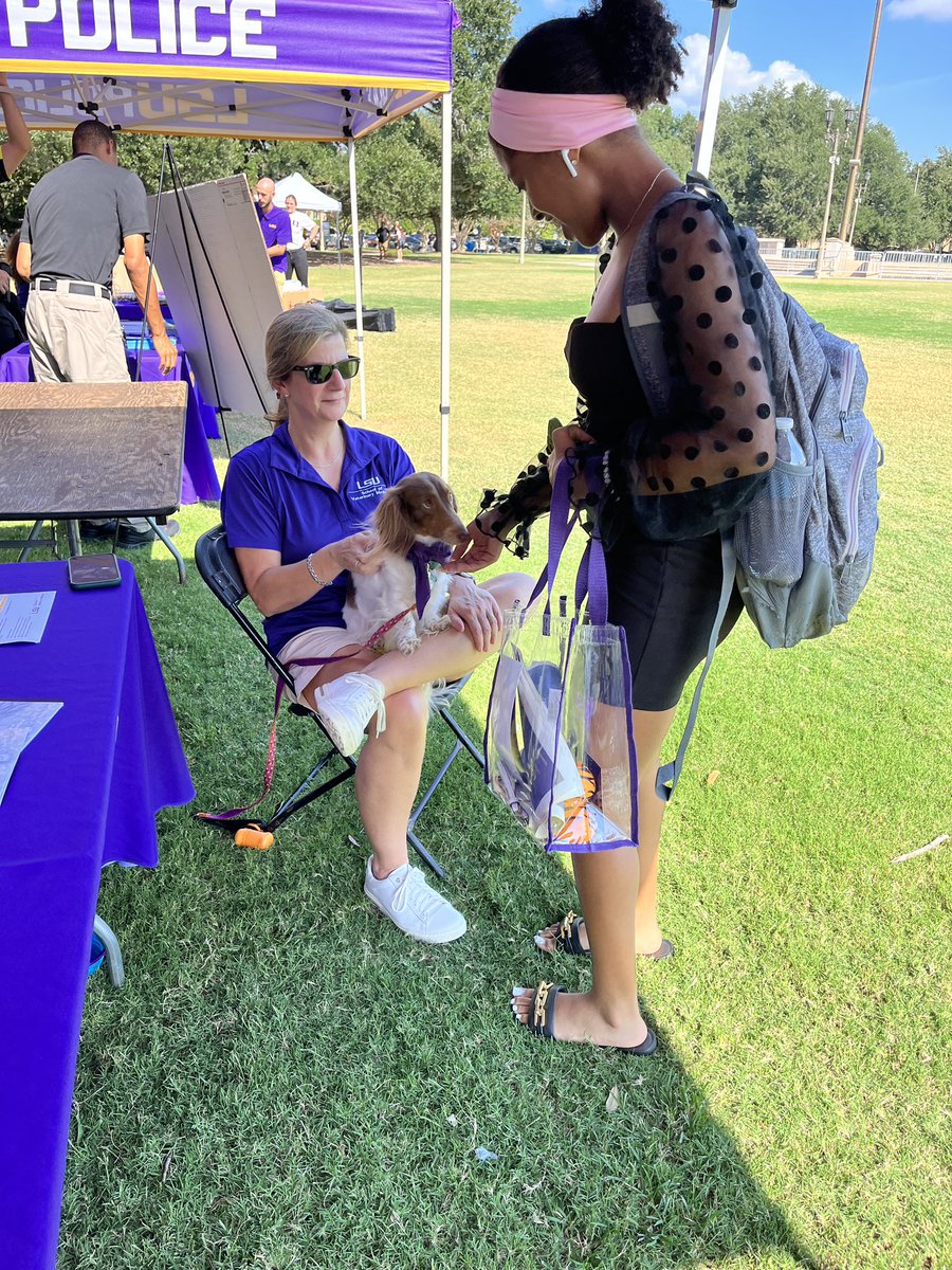LSUVetMed's tweet photo. #lsufallfest has begun! Stop by the #LSUVetMed table, learn more about us, and meet Sully, one of our Tiger HATS pet therapy dogs. #bringingtheworldin https://t.co/qLNA3sxENF