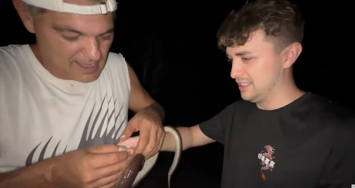 Memakker's tweet photo. Frank de la jungla poniéndole a Dalas una serpiente en la mano era lo último que me esperaba ver en mi vida https://t.co/taT5mh1eXU