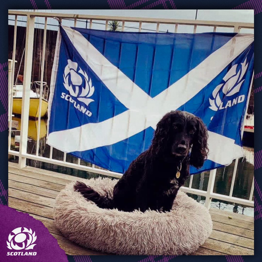 Scottish Rugby tweet media