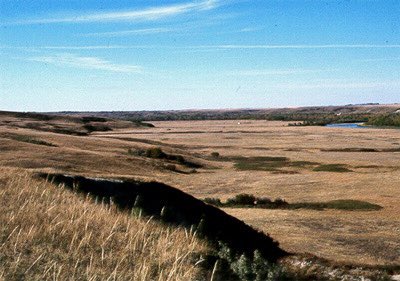 On this day in 1877, Treaty 7 was signed at Blackfoot Crossing in southern Alberta by the Siksika, Kainai, Piikani, Tsuut'ina and Stoney. Learn more at blackfootcrossing.ca/wordpress/