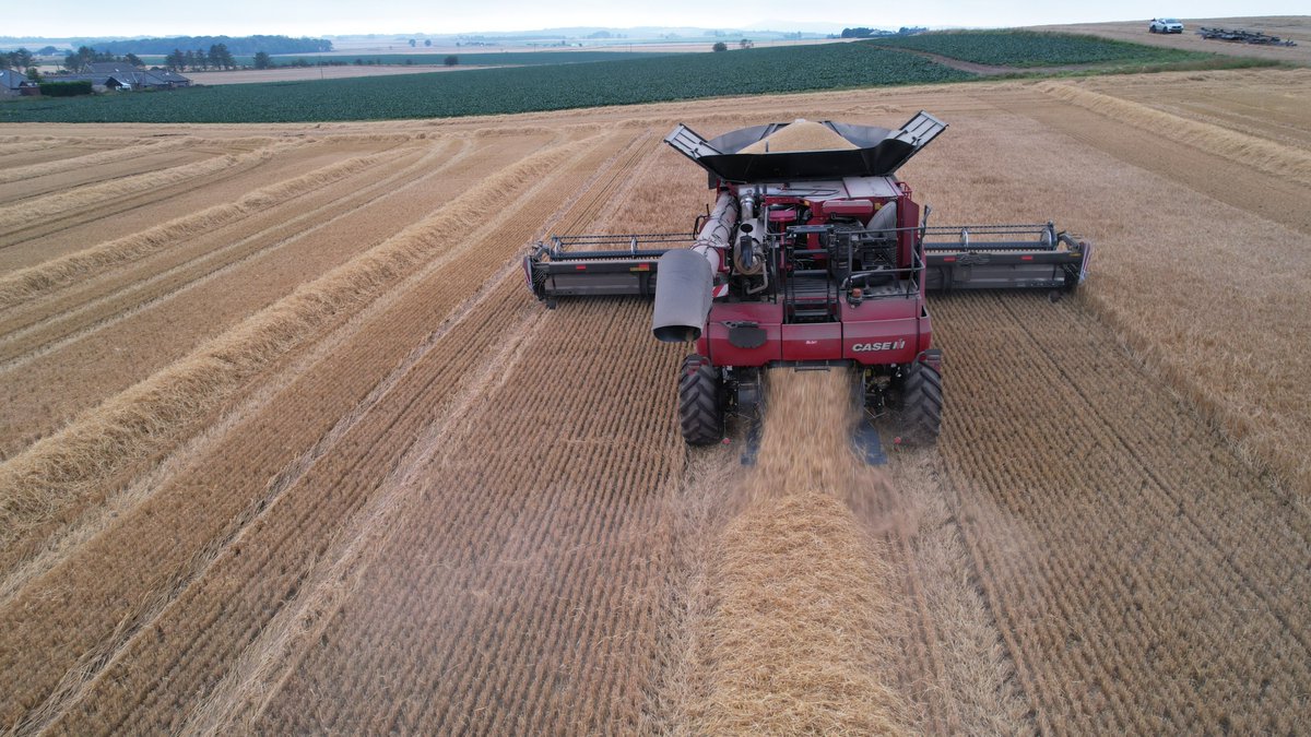 CaseIH_UK_IRE's tweet image. Some drone shots of one of our demos with Al Agri in Forfar🏴󠁧󠁢󠁳󠁣󠁴󠁿. If you're interested in getting a demo of our Puma or Optum please get in touch with your local dealer or request a demo here: bit.ly/CaseIHDemo 

#CaseIH #Demotour #Dealer #TrustTheRed #RedPower
