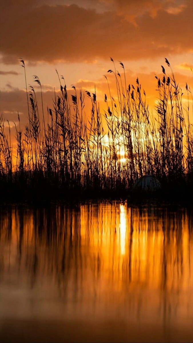 TLeoni311's tweet photo. Good evening 💫 🧡 https://t.co/TYgF0Xo97H