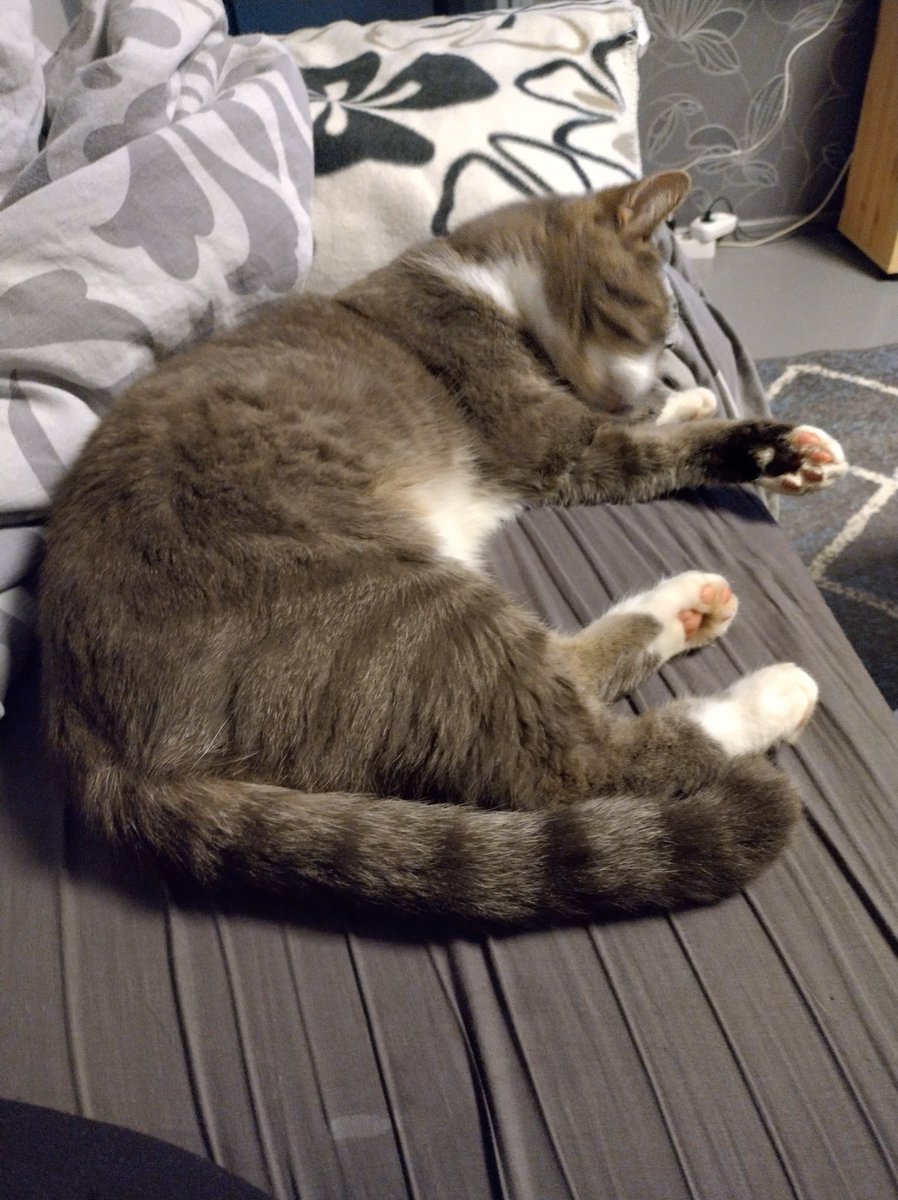 Persjantaita folks👋, remppaa, ja remppaa, mut koooht o valamista, kesä män kyl hujauksesa, nu RELÄÄÄX ehtoo, #YLEX ,<a href="/juska/">Orion</a> just eetteriin ja tulooki maratoon lähetys ku tuloo Europe's Biggest Dance Show, oikein muksaa ehtoota😘, jos joku viä tunnistaa🙄🙄🤣🤣