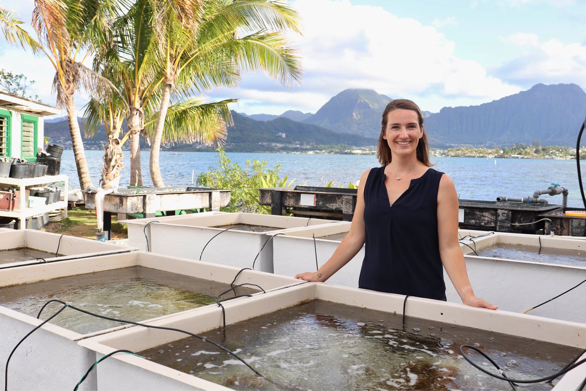 A $2 million research project is breaking new ground by combining coral reef conservation and climate mitigation. The research project is co-led by TAMU-CC and funded through the National Oceanographic Partnership Program investment. 🌊 

Read more: tamu.cc/3ZugMul