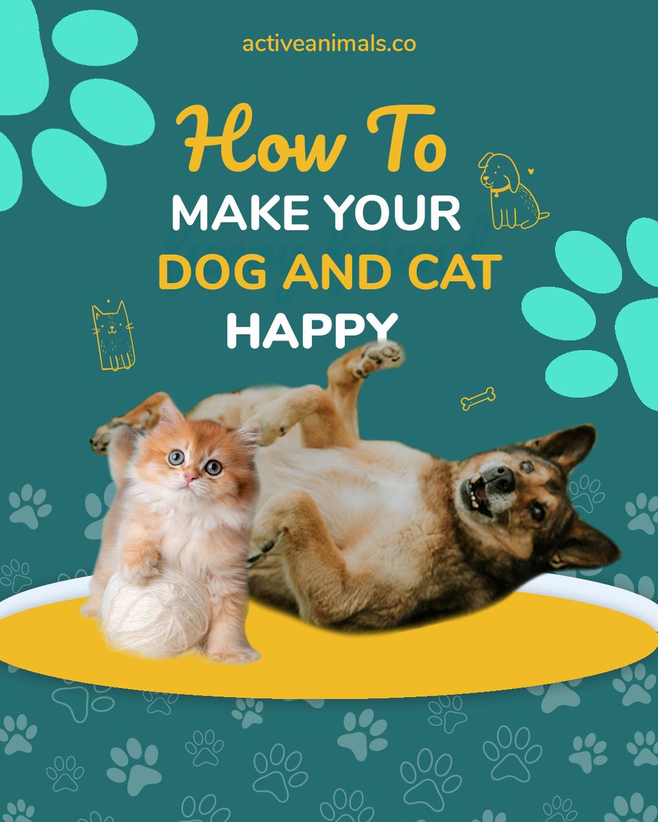 ActiveAnimal_'s tweet photo. 🐾 Teach your dog some fun new tricks
🐾 Make some homemade treats
🐾 play games with your pets

#pettricks #homemadetreats #petgames #qualitytimewithpets #petactivities #petfun #pettraining #petbonding #petlove #petenrichment #petowners https://t.co/LxPPcwPQaL