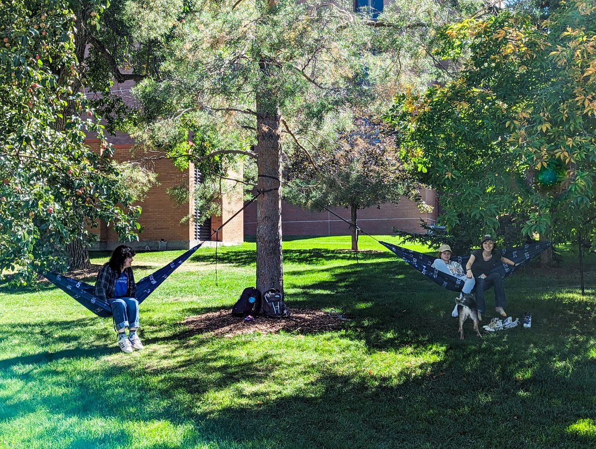 mtstatealumni tweet media