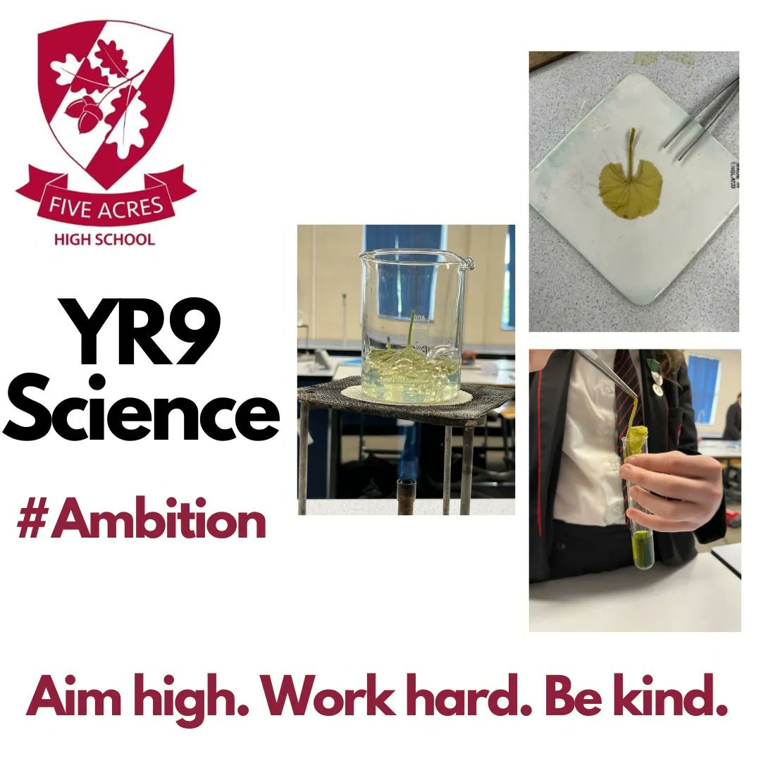 FiveAcresHigh's tweet photo. It's been a busy week in Science! Year 7 have been measuring and heating liquids with Dr Kelly and 9A3 have been testing geranium leaves for starch with Mrs Williams. #Ambition #ScientistsInTheMaking #BeMoreFive https://t.co/cVIiYATNBO