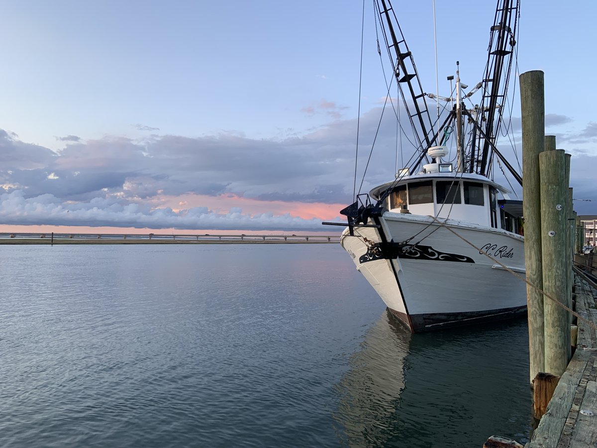 Net Gains Alliance’s fall reading list starts with one of our latest reports. Read our Five Recommendations for Better Utilizing VMS Data to Enhance Fisheries Management:

ow.ly/cLLN50PyYGY

#netgainsalliance #report #fisheries #fish #vms #nmfs #fish