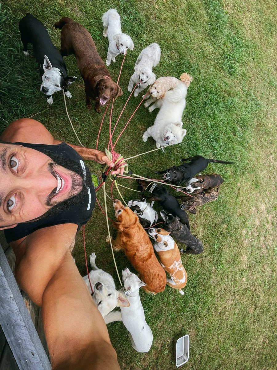Pink__Pup's tweet photo. EVERYONE SAY CHEESE 🐶😁

Hope everyone has a great weekend, what do y'all have planned? https://t.co/m4xrDmVR46