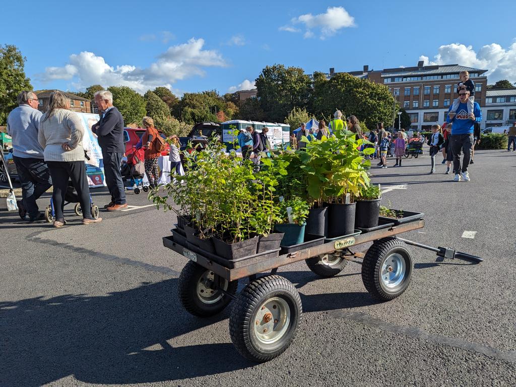 Great to take the pop-up Community Tree Nursery to the #streetsalive event in Dorchester today. Lots of interest in the tree seedlings grown from locally collected seeds in autumn 2022.