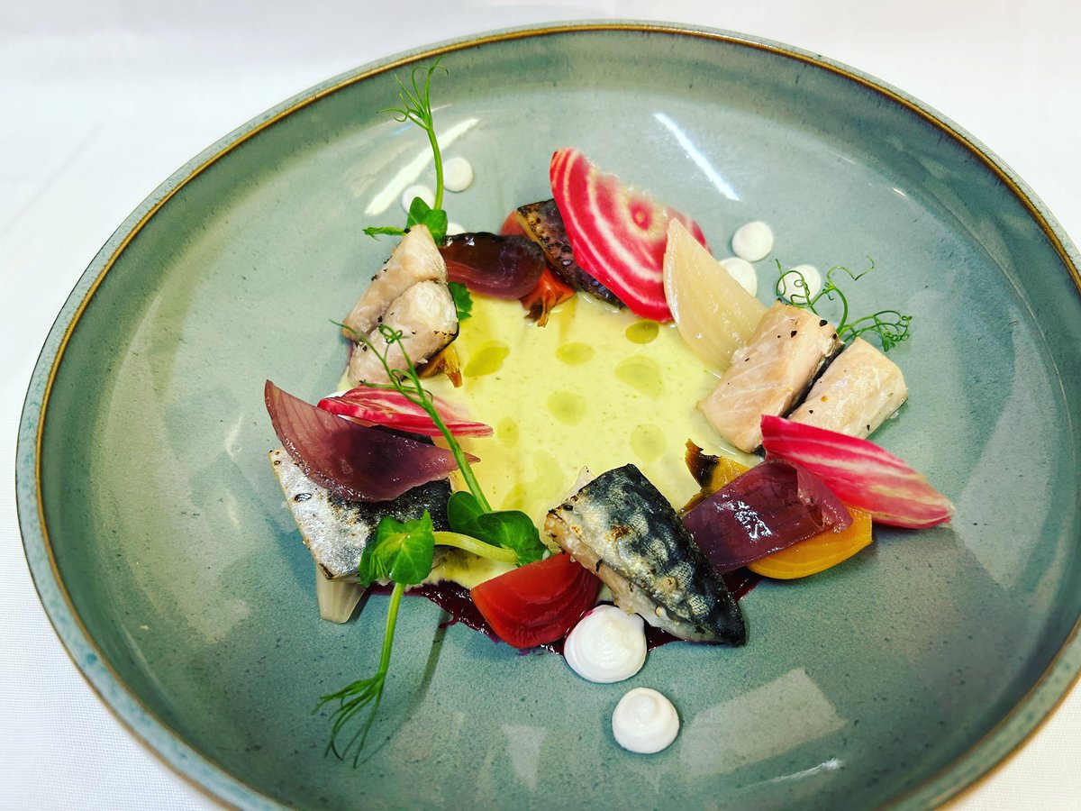 Eclectic & Exotic; Grilled Mackerel, Sweet Pickled Beetroot, Shallot, Coriander Sauce, Coconut & Lime Gel.
Bon Appétit !
#morillesbistro #frenchrestaurant #frenchfare #frenchfood #tasty #yummybistro #morillesbistro #frenchcuisine #dublinrestaurants #frenchfare #rathfarnham