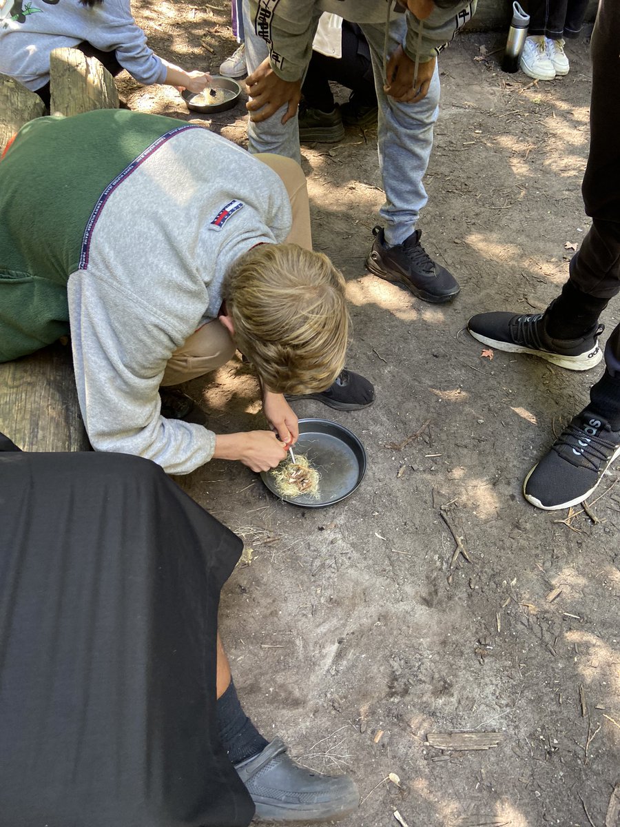 TDSB_Kipling's tweet photo. KCI student leaders enjoying a day of team building, collaborative problem whilst enjoying the beautiful outdoors #outdooreducation @TDSB_MHWB @tdsb https://t.co/ecm6yBaYp3