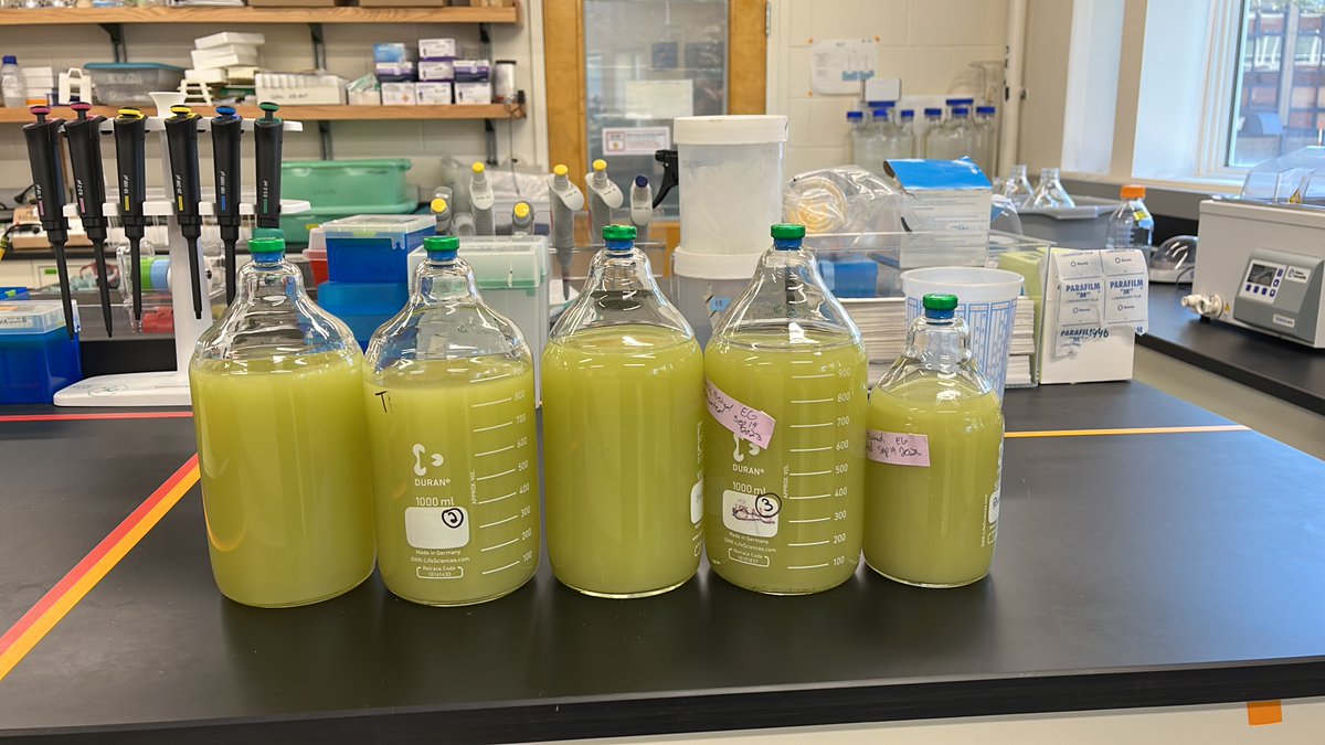 Molly Moynihan tweet media