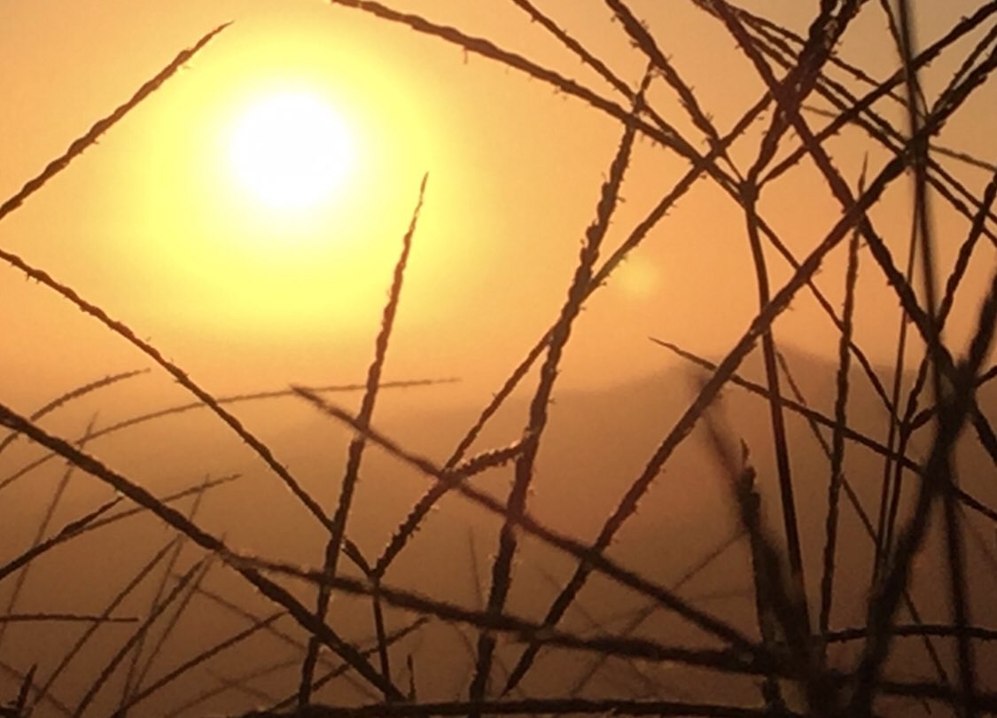 andre_haar's tweet image. Olá amigos!
Calor excepcional no Brasil neste fim de semana. (23 e 24 setembro).
Em São Paulo pode chegar a 38! 
Até 46 no MT e MS.
No noroeste gaúcho pode atingir 40 no domingo.
Se cuidem, muita água.