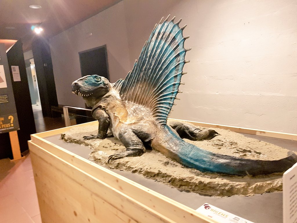 neowiffi's tweet photo. Ahir vam xalar molt👩👦veient roques, fòsils🐚 i reconstruccions d'animals🦖ja extingits de Ponent i Pirineu, a la inaguració de "Què tenim sota els peus"🤩🔝🤩#Cervera #Segarra #Isagoge2023 @museudecervera @paeriacervera @SomSegarra @lasegarra @SEGREcom https://t.co/qstV1mze0J