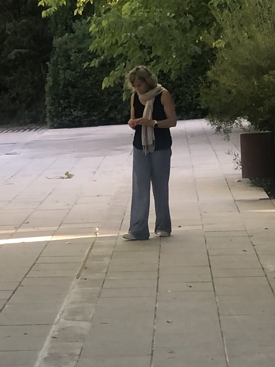 Vicent Esteve tweet media