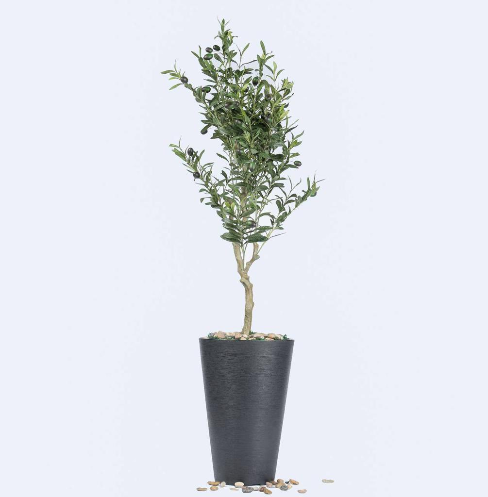 SEDRA_Store's tweet photo. بمناسبة #اليوم_الوطني يسعدنا ان نعلن لكم بخصومات تبدأ من ١٠٪ حتى ٥٠٪ 🇸🇦.

لمزيد من التفاصيل يرجى زيارة رابط المتجر؛

https://t.co/d0vNvXCngY

#اليوم_الوطني_93_السعودي 
#عروض_اليوم_الوطني_السعودي_93 
#اشجار_صناعية 
#ديكورات_داخلية 
#شواهد_العز https://t.co/2EM4lSDr77