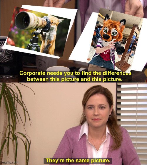 Leo DeVulpes tweet media