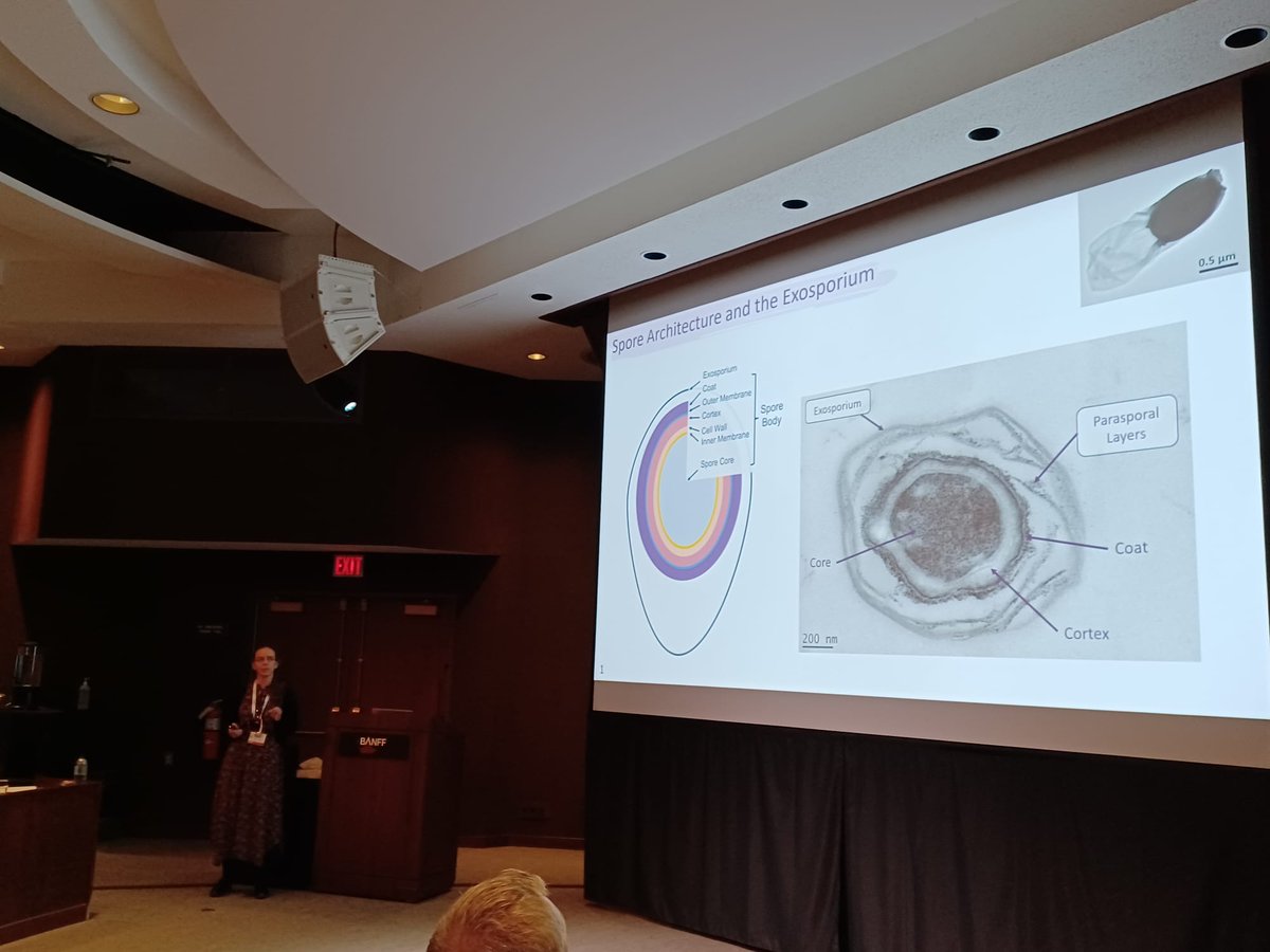 Dr Hannah Fisher (@hannah_fisher2) on Twitter photo Really enjoyed sharing our work in Clostridium sporogenes at #Clostpath2023 this morning! Thanks to <a href="/dw_scientific/">Don Whitley Scientific</a> for supporting my attendance at the conference and of course to the lab @PerBullough <a href="/RobFagan/">Fagan Lab at the University of Sheffield</a>
<a href="/BeckyMenday/">Becky Menday</a> <a href="/BuddleJess/">Jess Buddle</a> Really enjoyed sharing our work in Clostridium sporogenes at #Clostpath2023 this morning! Thanks to <a href="/dw_scientific/">Don Whitley Scientific</a> for supporting my attendance at the conference and of course to the lab @PerBullough <a href="/RobFagan/">Fagan Lab at the University of Sheffield</a>
<a href="/BeckyMenday/">Becky Menday</a> <a href="/BuddleJess/">Jess Buddle</a>