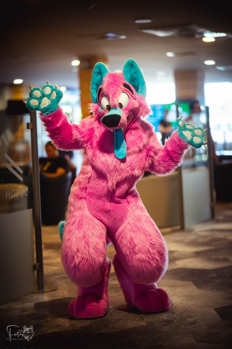 xferoxy's tweet photo. For this #FursuitFriday some Photos i took at #East11 !
Look at all these cute floofs :3

Suiters:
@mikan_popsicle / @DragothCave / @RENIT1 / @HanookDatHusk

#furry #furries #fursuit #furryfandom https://t.co/HDPxpaWSnE