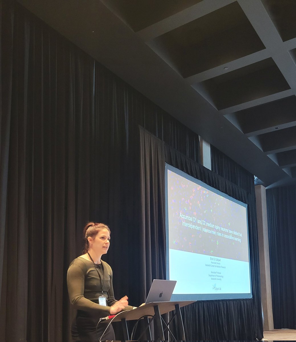 JennPerusiniPhD's tweet image. Symposium 1: Neural mechanisms for learning about significant stimuli. Thanks to @Wiltgenlab @TheErinCalipari @iordanova_lab &amp;amp; Paul Frankland! #pavlovian2023 @PavlovSociety