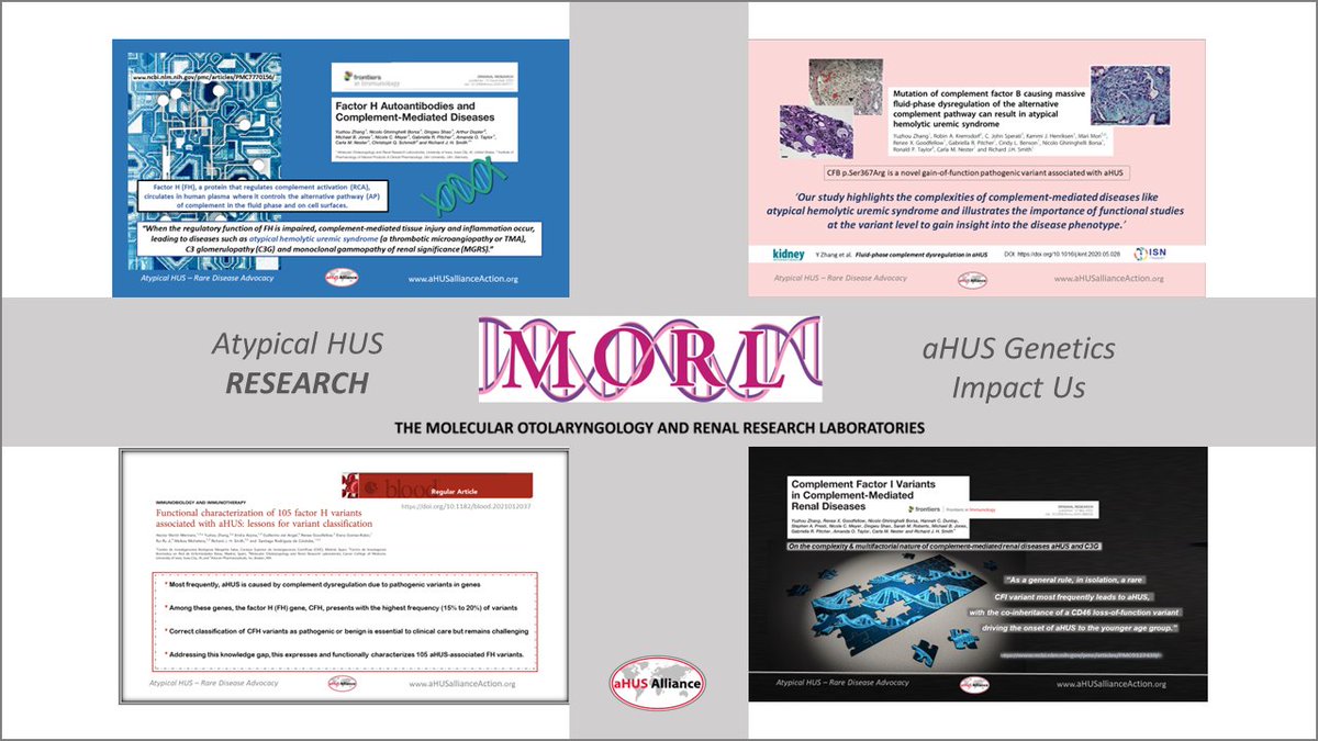 aHUS Awareness Day is Saturday 24 Sept! Atypical HUS #genetics, what's the impact on the #aHUS knowledge bases? Our article looks at some great work from the <a href="/MORL_UIowa/">MORL</a> team
ahusallianceaction.org/morl-an-impact… Be #aHUSaware for #aHUSday
#complement #TMA #variants #mutations