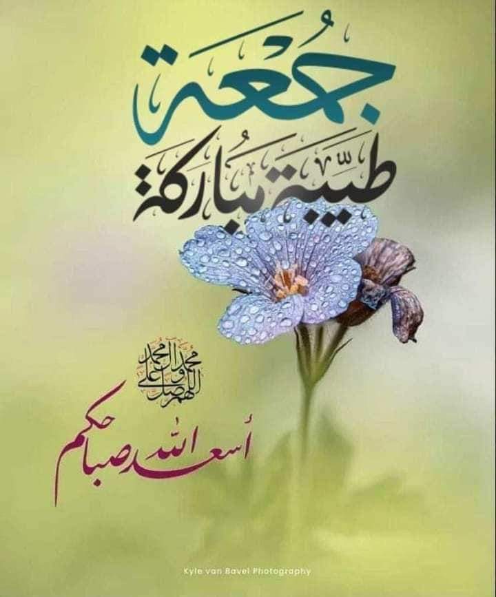 MohammedBe4016's tweet photo. @bwsmldlymy1 https://t.co/bPG6OUFBL4