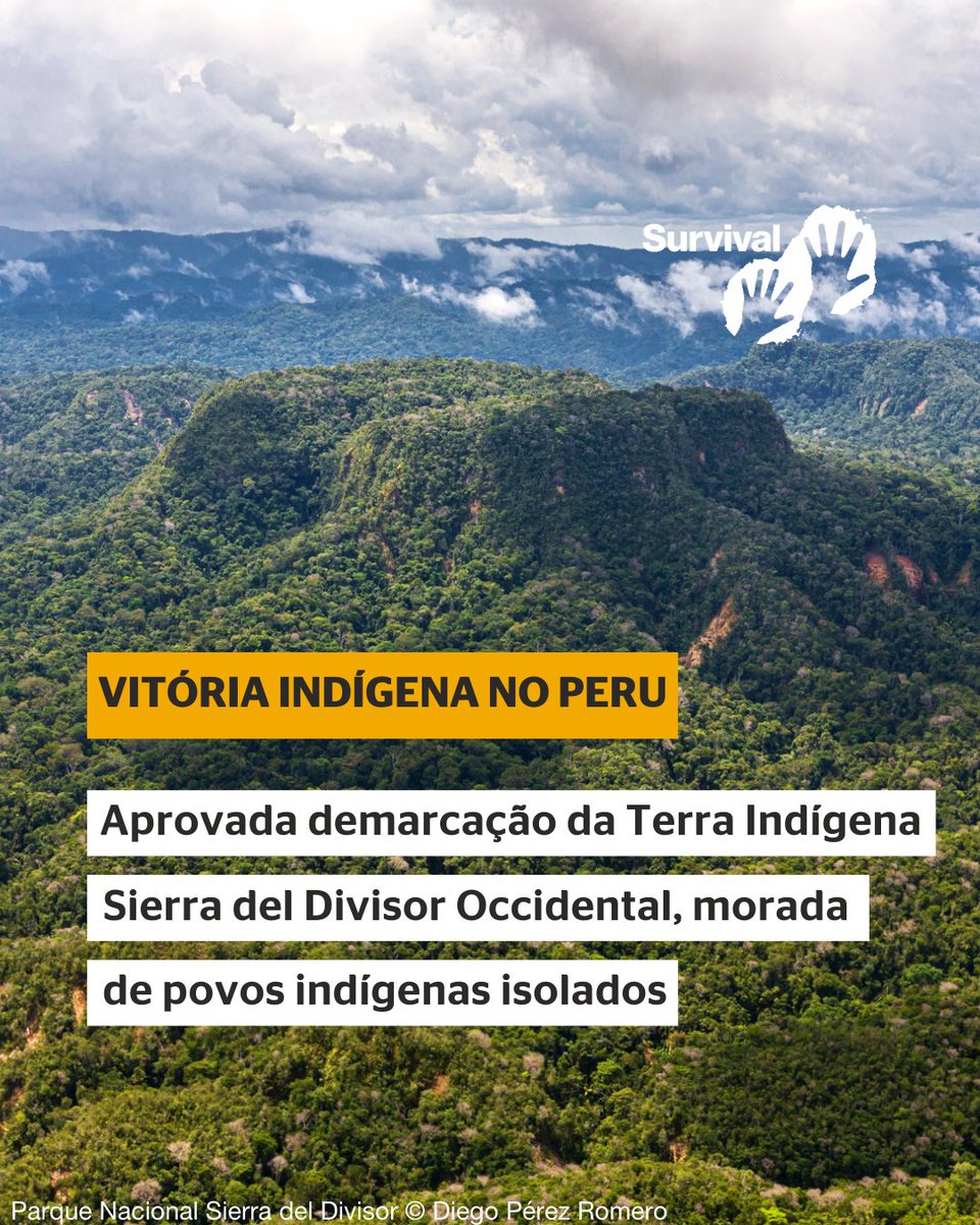 SurvivalBrasil's tweet photo. Vitória para povos indígenas isolados também no Peru! 🏹

Depois de 17 anos de luta de organizações indígenas como @OrpioA e @aidesep_org  e aliados, foi aprovada a demarcação da Terra Indígena Sierra del Divisor Occidental, morada de povos indígenas isolados. https://t.co/Xf1H7Fuimh