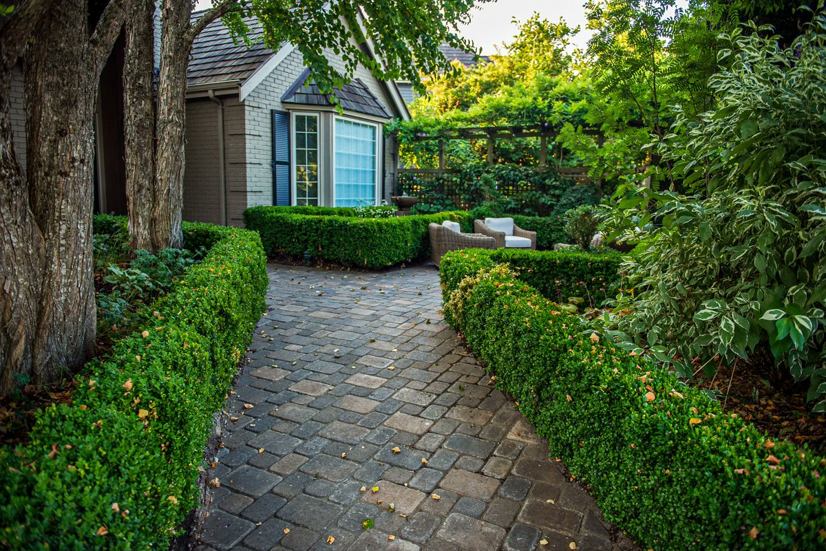 Mutual Materials tweet media