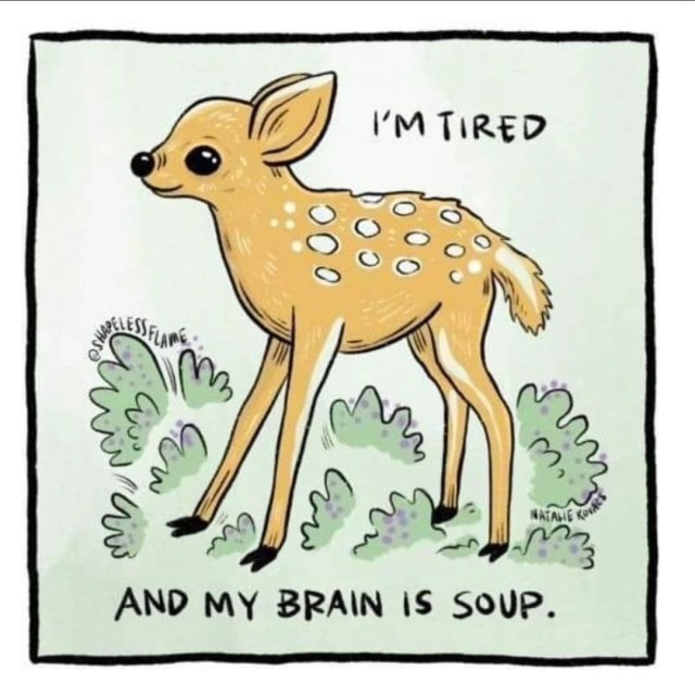 cosybunnie's tweet photo. me recently https://t.co/aXzDkHwlgy